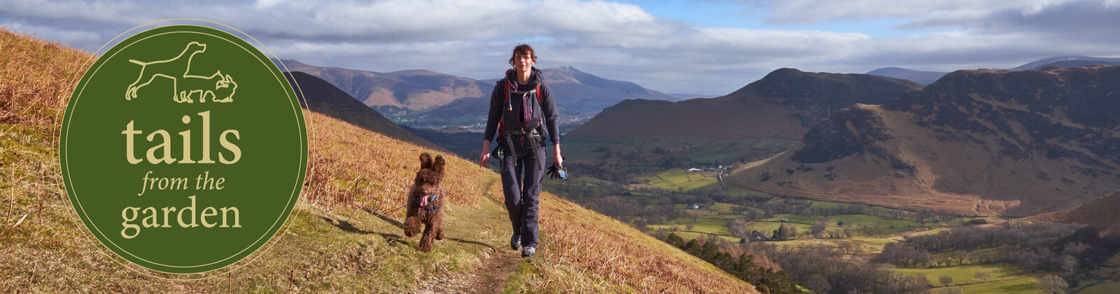 Top 5 Dog Walks With The Best Views