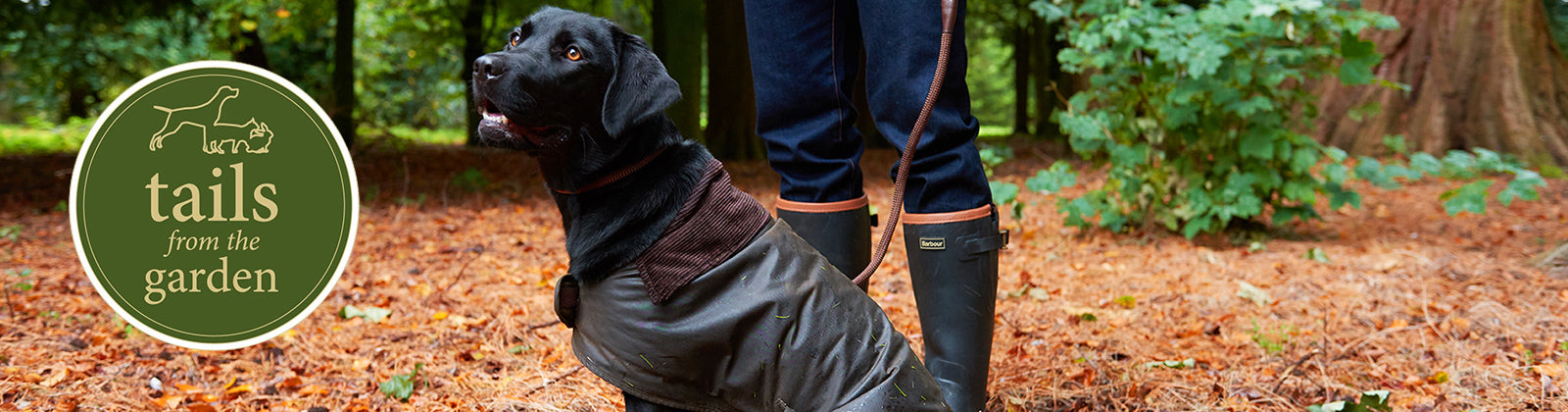 Best dog coats 2018 outlet