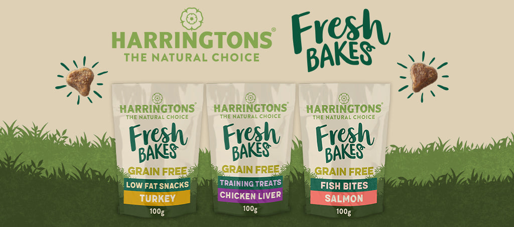 Harringtons training treats hot sale