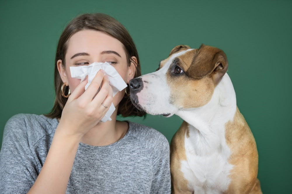 Can You Be Allergic to Certain Breeds of Dogs? Find Out Now!