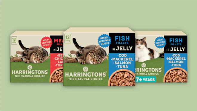 We've given our wet cat food a fresh new look for proper tasty mealtimes!