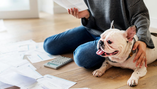 How much does a dog cost?