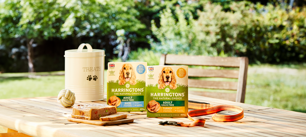 Should i feed shop my dog wet food