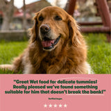 Salmon with Potato & Vegetables Grain Free Wet Dog Food 8 x 400g - Image 6