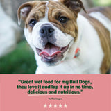 Grain Free Mixed Wet Dog Food Bumper Pack 48 x 400g - Image 7