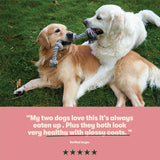 Dry Adult Dog Food Rich in Salmon & Potato 12kg - Image 7