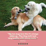 Dry Adult Dog Food Rich in Salmon & Potato 1.7kg - Image 7