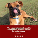 Dry Large Breed Adult Dog Food Rich in Chicken 14kg - Image 6