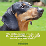 Dry Small Breed Adult Dog Food Rich in Lamb & Rice 5 x 1kg - Image 9