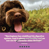 Dry Adult Dog Food Rich in Lamb & Rice 15kg - Image 7