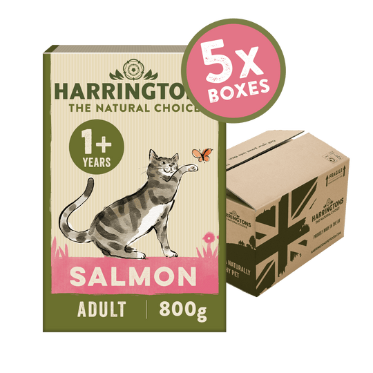 Complete Adult Salmon Dry Cat Food 5 x 800g