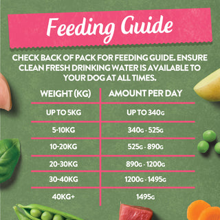 Grain Free Variety Selection Wet Dog Food Bumper Pack 16 x 400g