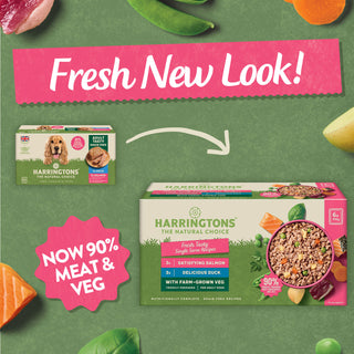 Grain Free Tasty Selection Wet Dog Food Bumper Pack 6 x 150g