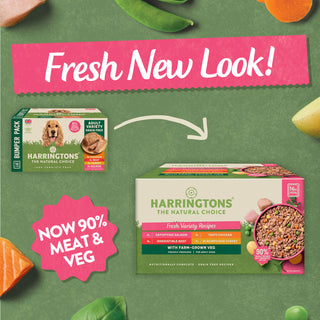 Grain Free Variety Selection Wet Dog Food Bumper Pack 16 x 400g