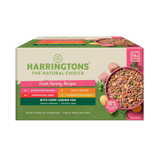 Grain Free Variety Selection Wet Dog Food Bumper Pack 16 x 400g