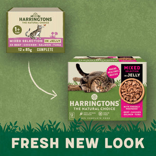 Complete Grain-Free Adult Mixed Selection in Jelly Wet Cat Food Bundle 72x85g