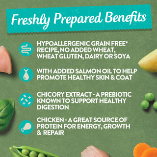 Chicken with Potato & Vegetables Grain Free Wet Puppy Food 18 x 380g