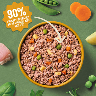 Grain Free Poultry Selection Wet Dog Food Bumper Pack 6 x 150g