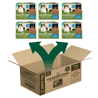 Complete Senior Grain-Free Fish Selection in Jelly Cat Food Bundle 72x85g