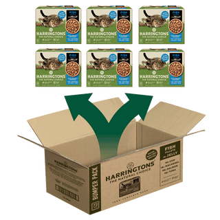 Complete Grain-Free Adult Fish Selection in Jelly Wet Cat Food Bundle 72x85g