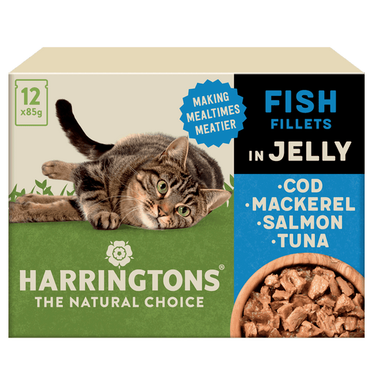 Complete Grain-Free Adult Fish Selection in Jelly Wet Cat Food Bundle 72x85g