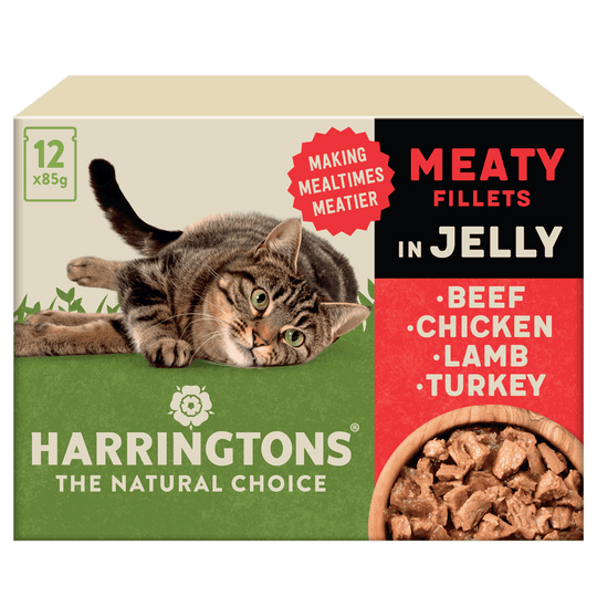 Complete Grain-Free Adult Meaty Selection in Jelly Wet Cat Food Bundle 72x85g