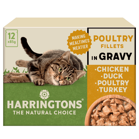 Complete Grain-Free Adult Poultry Selection in Gravy Wet Cat Food Bundle 72x85g