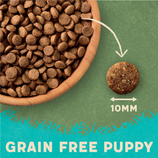 Grain-Free Dry Puppy Food Rich in Salmon & Sweet Potato 10kg