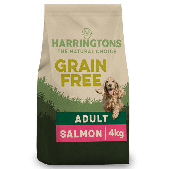 Grain-Free Dry Adult Dog Food Salmon & Sweet Potato 4kg