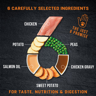 Just 6 Chicken with Vegetables & Gravy Complete Grain-Free Wet Dog Food 8 x 380g