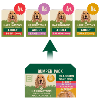 Grain Free Classics Selection Wet Dog Food Bumper Pack 16 x 400g