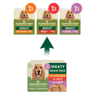 Grain Free Meaty Selection Wet Dog Food 6 x 400g