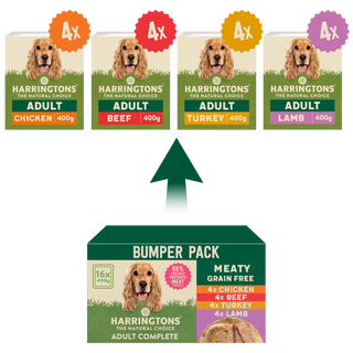 Grain Free Meaty Selection Wet Dog Food Bumper Pack 16 x 400g