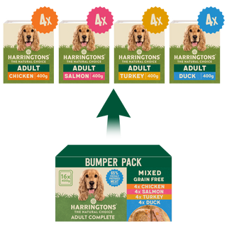 Grain Free Mixed Wet Dog Food Bumper Pack 16 x 400g