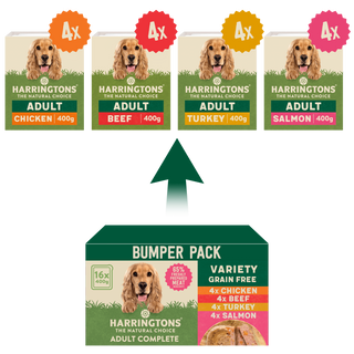 Grain Free Variety Selection Wet Dog Food Bumper Pack 16 x 400g
