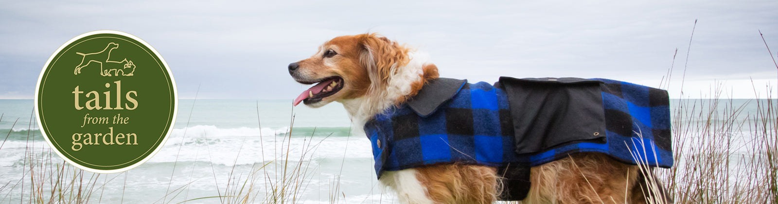 Christmas day pub walks the pooch and family will enjoy