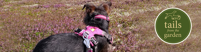 A walkers’ paradise in north-east Scotland