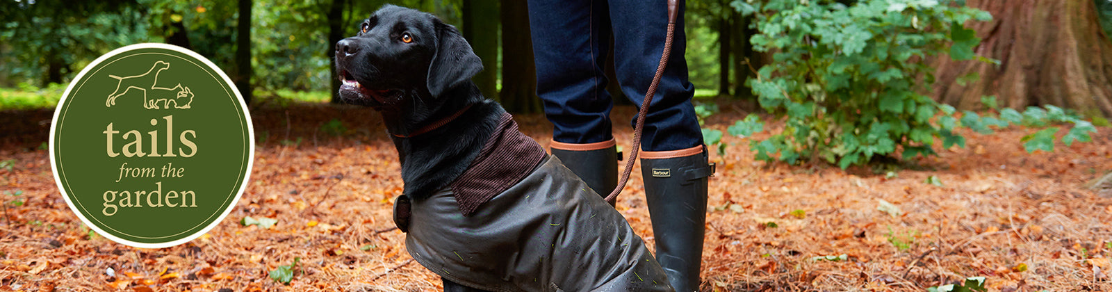 The Best Dog Coats For Winter