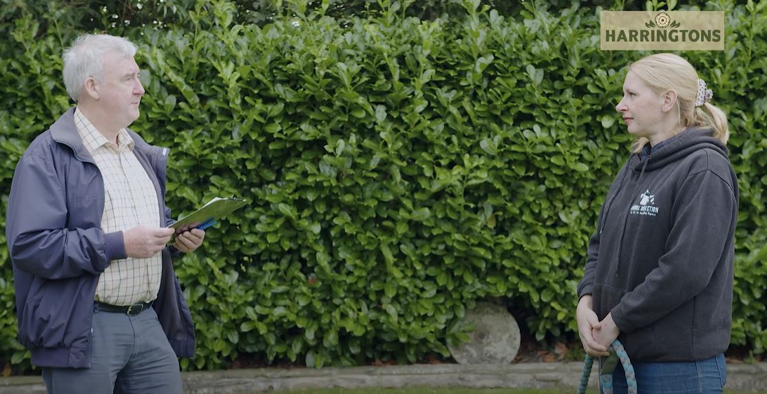 Why is my Puppy biting? Harringtons Pet Food