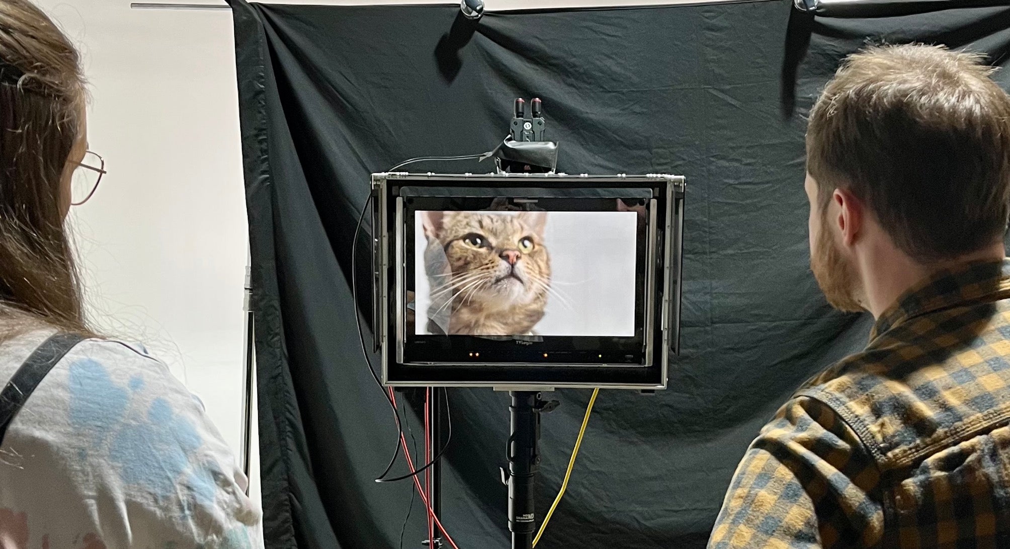 Behind the Scenes: Creating Our Purr-fect Wet Cat Food TV Advert