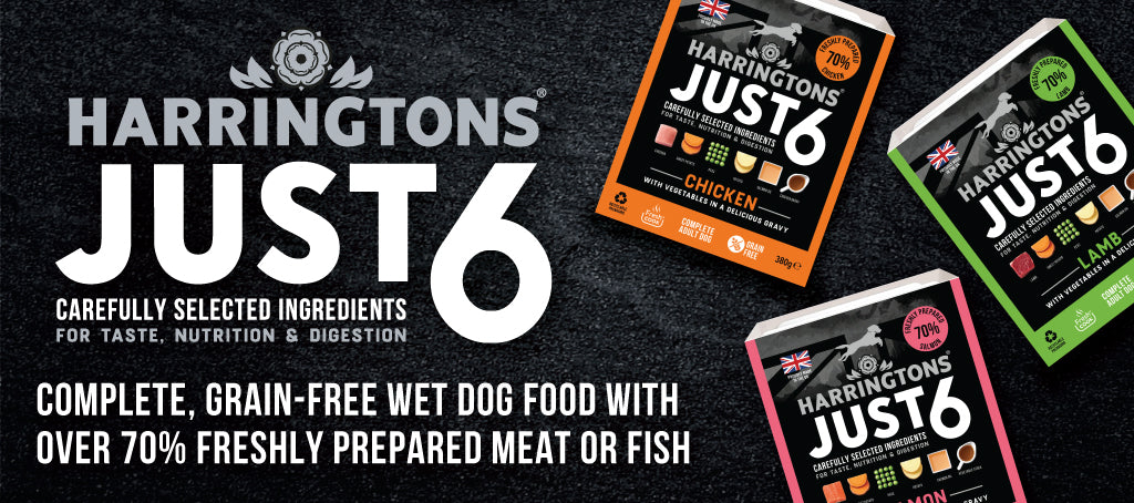 Just 6 Wet Dog Food: A Flavourful Feast for Your Furry Friend's Well-being