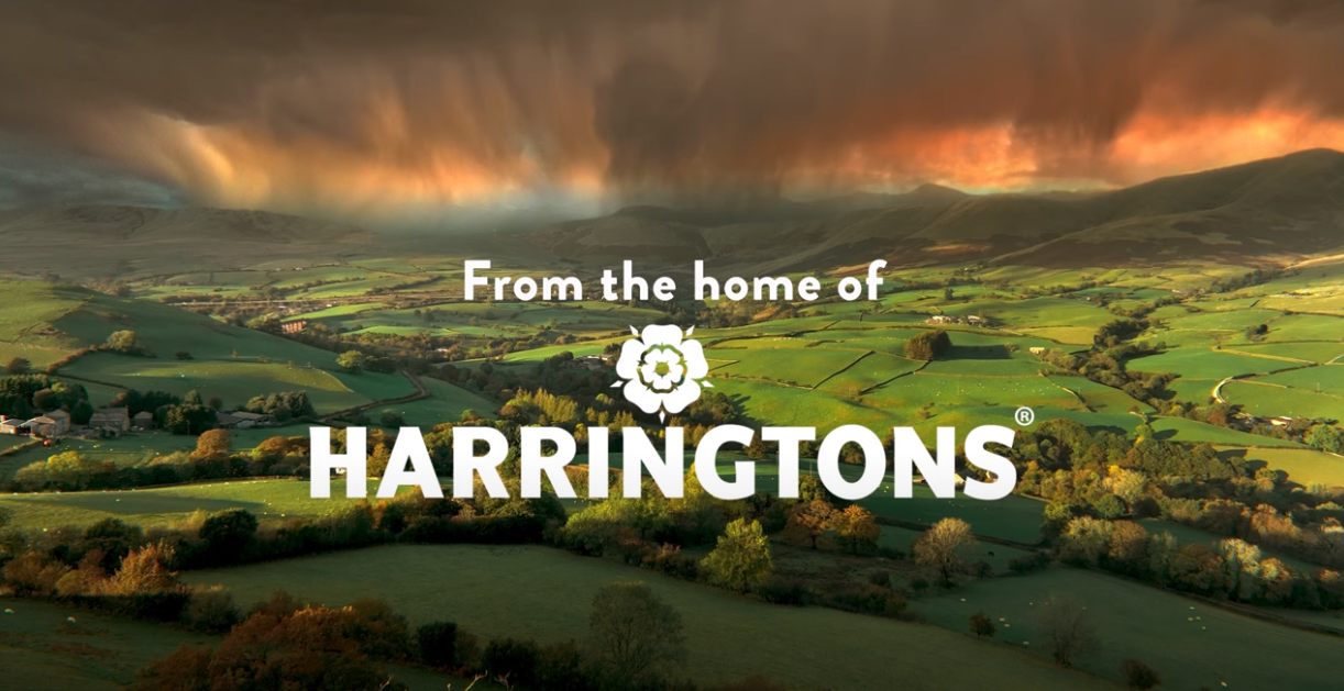 Behind the scenes of our latest TV advert starring Yorkshire Terry