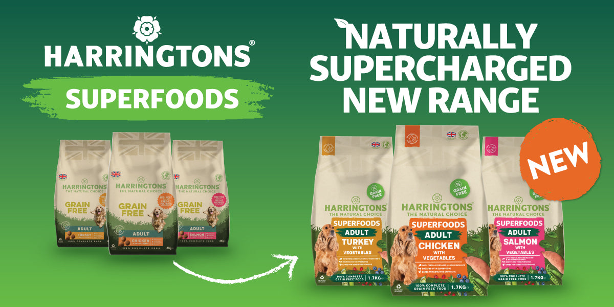 Introducing our NEW Superfoods range! Harringtons Pet Food
