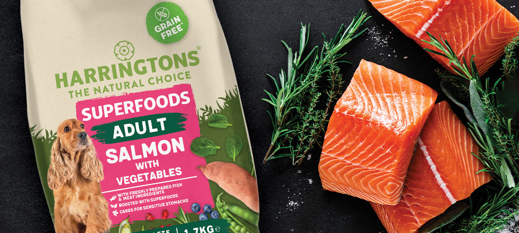 Introducing our new grain-free Superfoods Salmon dog food