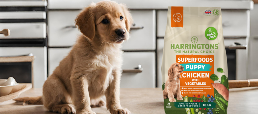 Unveiling the Power of Nature: Harringtons Superfoods Grain-Free Dry Puppy Dog Food
