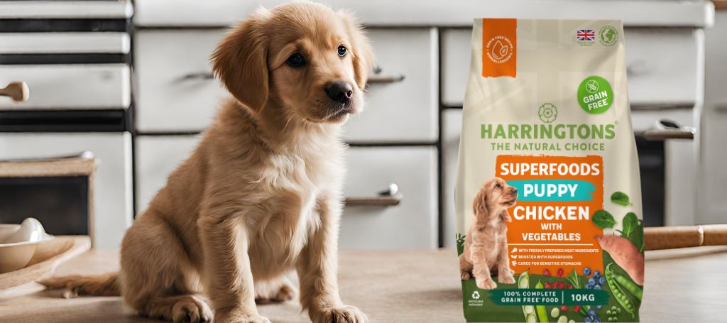 Unveiling the Power of Nature: Harringtons Superfoods Grain-Free Dry P ...