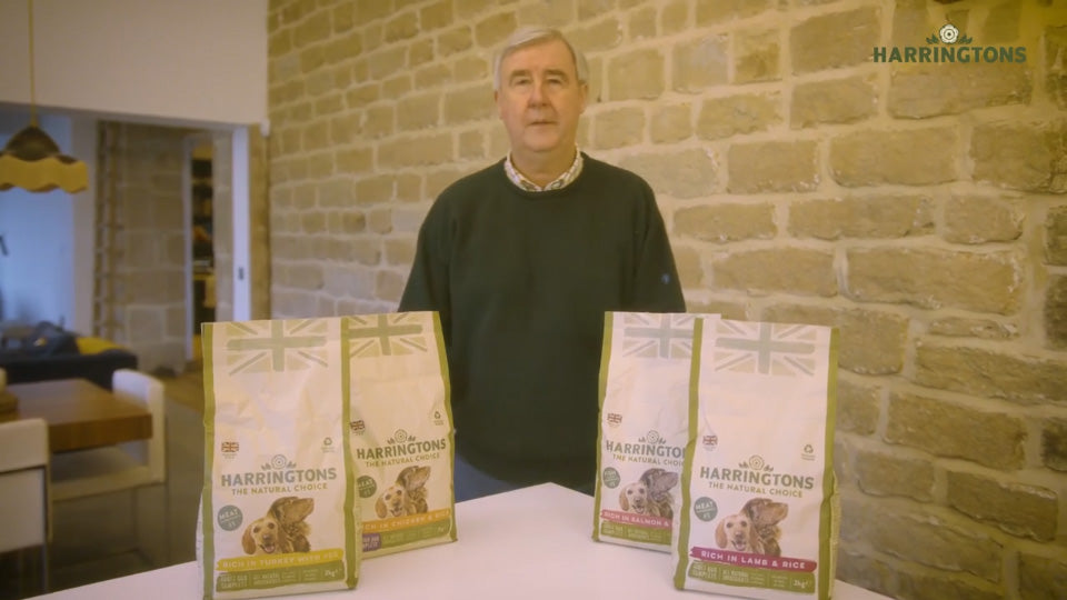 Adult dog food