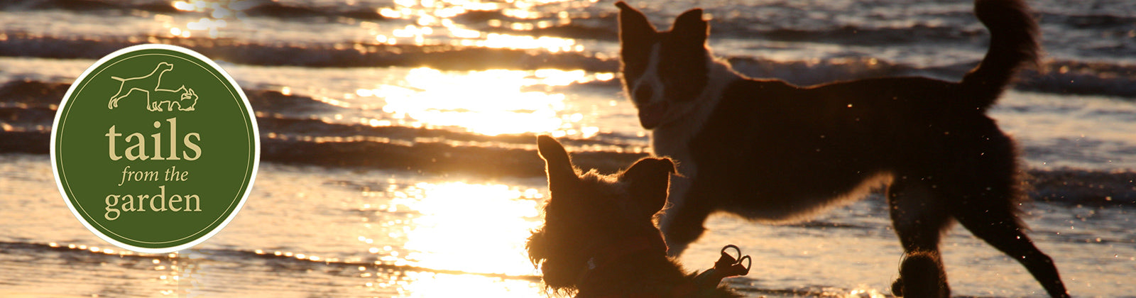 The Magic Hour