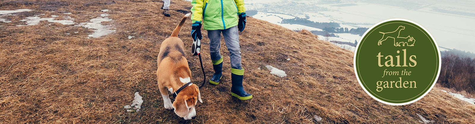 Top tips for winter dog walking