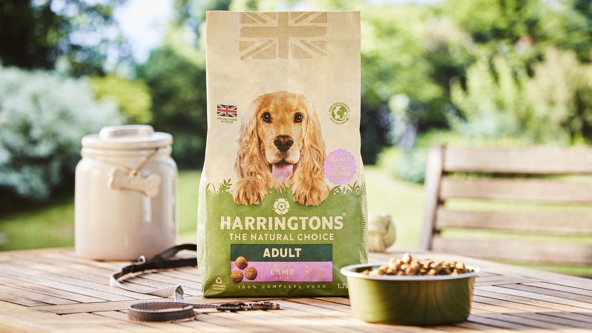 Harringtons dry dog food pack on a garden table